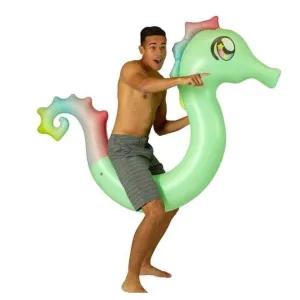 Seahorse Ride-On Pool Noodle